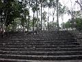 0704 calakmul 08
